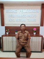 ROMLAN